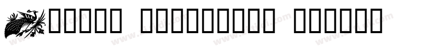 Design portfolio of字体转换